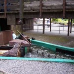 Flume Ride