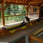 Wildwasserbahn, Schwarzwaldpark Wildwasserbahn