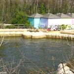 Rapids Ride