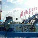 Flume Ride